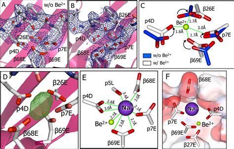 Structural Basis Of Chronic Beryllium Disease Linking Allergic