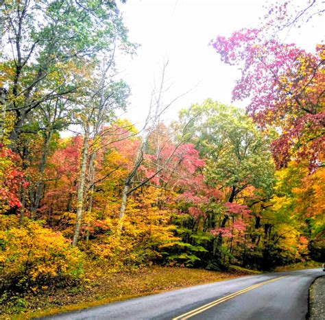 Fall foliage on the Blue Ridge Parkway. | Blue ridge, Blue ridge ...