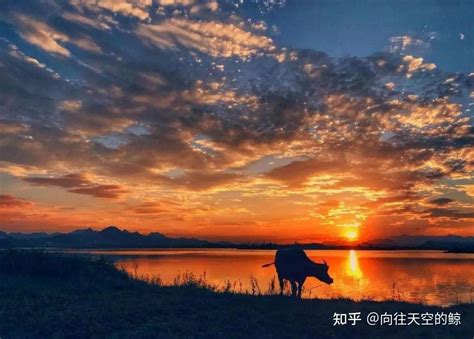 余华《活着》读后感 知乎