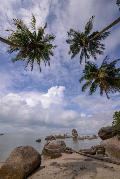 Beautiful Scenery Coconut Trees And Rock Stock Photo Image Of Stone