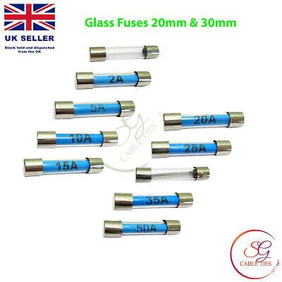 1 Glass Fuse For Sale EBay