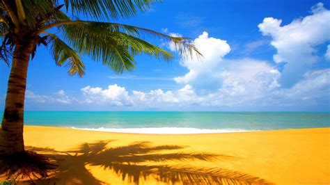 Sunny Day At The Beach Wallpaper