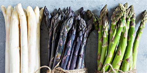 Lasperge Asparagus Officinalis Semis Plantation Culture Récolte