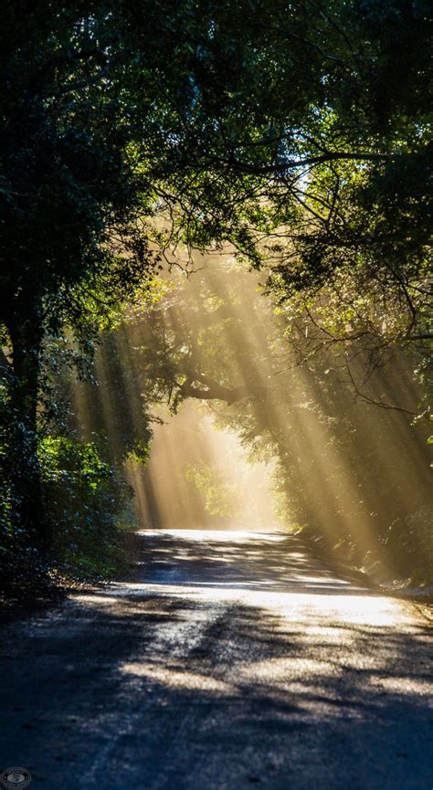 Magnificent 3 Hour St Lucia Sunrise Safari