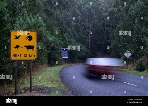 Wildlife Warning Signs Victoria Australia Stock Photo Alamy