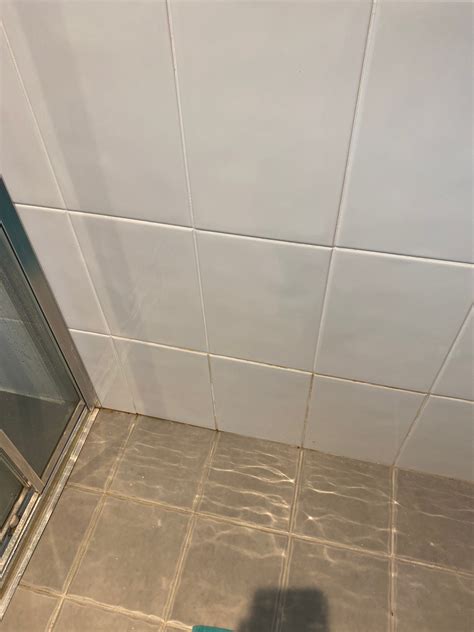 How to seal a leaky shower? | Bunnings Workshop community