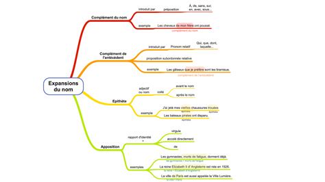 Carte Mentale Des Expansions Du Nom Fonctions Grammaticales Du Nom