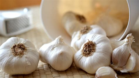 How Much Garlic Powder Equals One Clove Everything You Need To Know