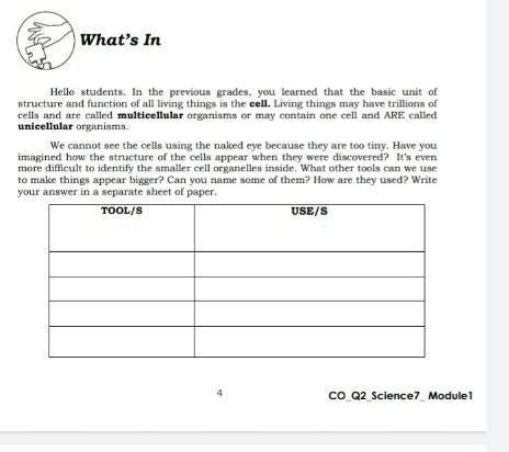 We Cannot See The Cells Using The Naked Eye Because They Are Too Tiny Have You Imagined How The