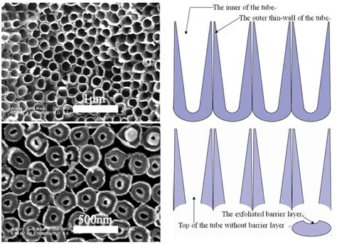 High Field Anodization Induces Ultra Thin Tio Nanotubes National