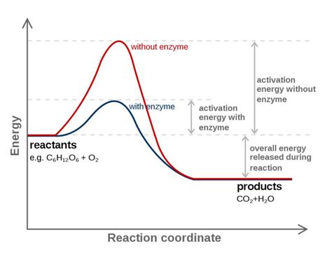 Reaction coordinate - Alchetron, The Free Social Encyclopedia