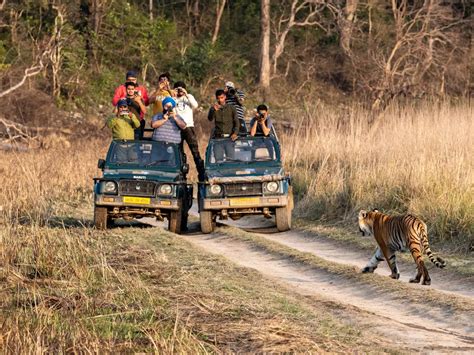 About Jim Corbett National Park