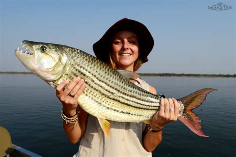 Experiences Catch Release Tiger Fishing In Zambia Art Of Safari