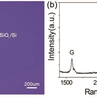 A Optical Image Of A Monolayer Graphene Film On A SiO2 Si Substrate