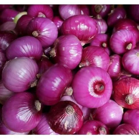 Maharashtra Cold Storage A Grade Fresh Pink Onion For Food Loose At