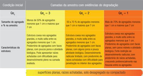 Embrapa Soja ensina passo a passo para fazer a análise de solo corretamente