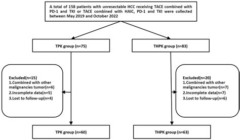 Frontiers The Safety And Efficacy Of TACE Combined With HAIC PD 1