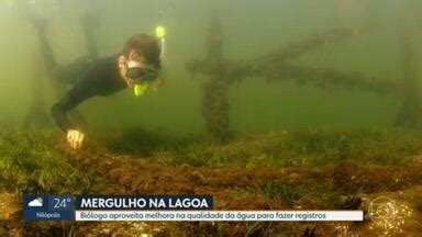 RJ1 Mergulhador Registra Vida Marinha Na Lagoa Rodrigo De Freitas