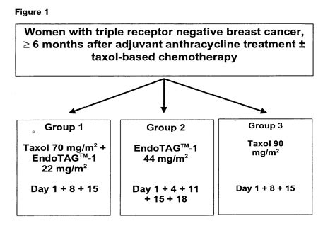 Treatment Of Triple Receptor Negative Breast Cancer Eureka Wisdom