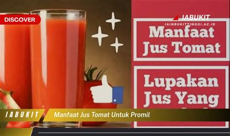 Intip 7 Manfaat Jus Tomat Untuk Promil Yang Bikin Kamu Penasaran Discover