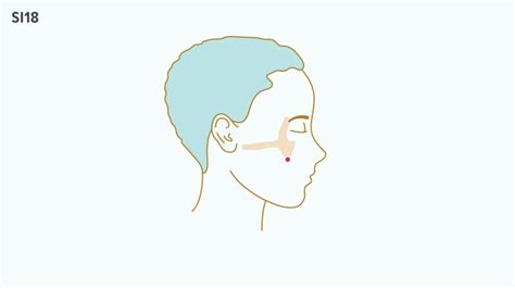 How to Use Pressure Points for Sinus Relief | Dr Farrah MD