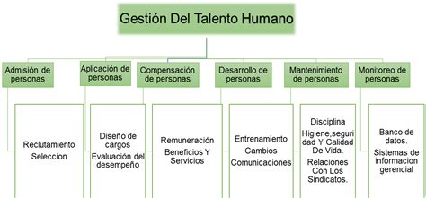 Los Seis Procesos De La Gesti N Del Talento Humano