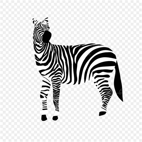 Zebras Png Picture Zebra Clip Art Realistic Zebra Black And White