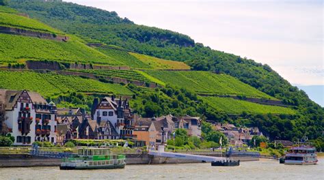 Visit Assmannshausen Best Of Assmannshausen Ruedesheim Am Rhein