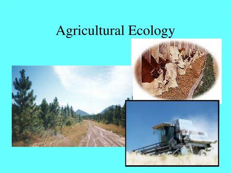 Ppt Agricultural Ecology Powerpoint Presentation Free Download Id