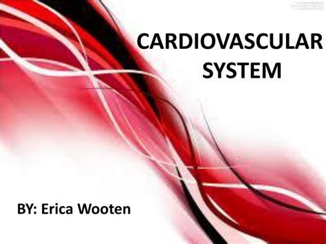 Ppt Cardiovascular System Powerpoint Presentation Free Download Id