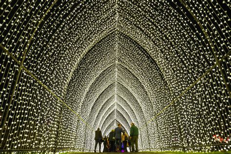 Preview Brooklyn Botanic Gardens Stunning Holiday Lightscape Returns