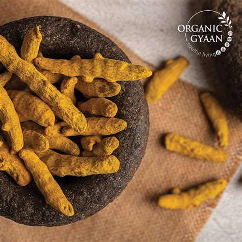 Organic Gyaan Organic Haldi Turmeric Whole Kg Finger At Rs Kg