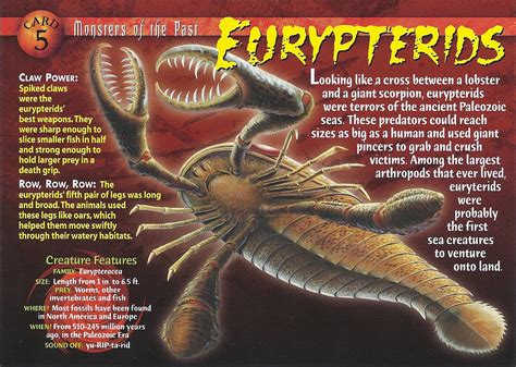 Eurypterids - Wierd N'wild Creatures Wiki