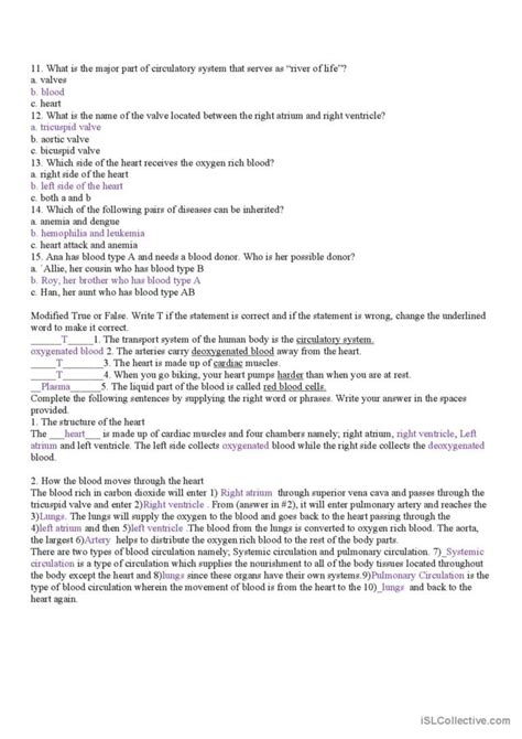 The Circulatory System English ESL Worksheets Pdf Doc