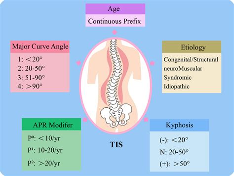 Classification Of Early Onset Scoliosis Eos Apr Annual Progression