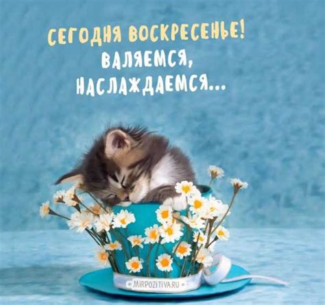 Доброе воскресенье картинки – Ой!