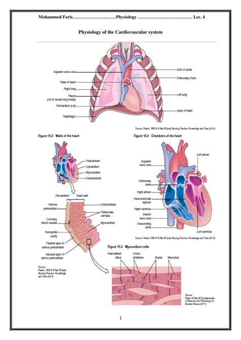 Review Guide Cardiovascular System