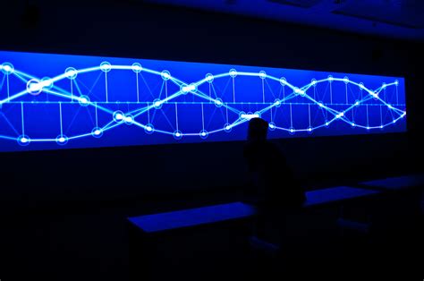 simple harmonic motion node