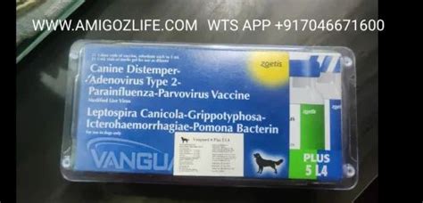 9 In 1 Vanguard Plus 5 L4 Cv Vaccine At ₹ 950vial Veterinary Care