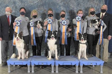 Champions Crowned At Akc National Agility Championship American