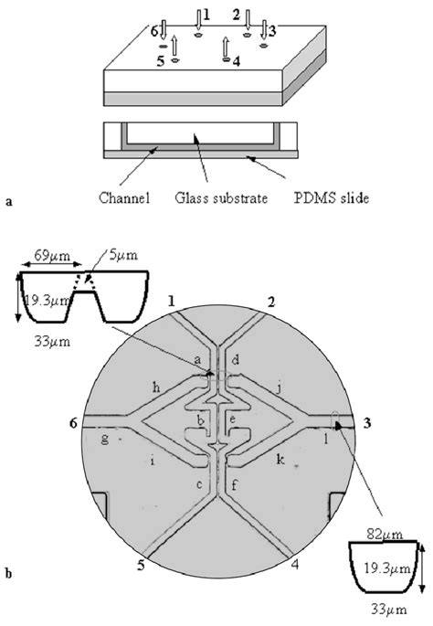 A Scheme Of The Microfluidic Chip Used In This Work B The