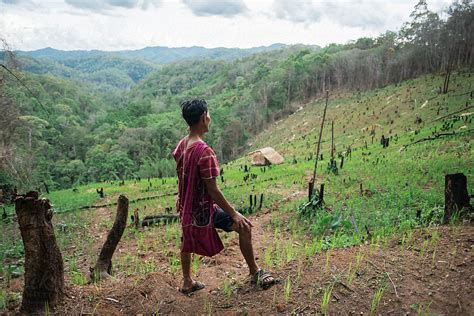 Karen People In His Rotational Farming By Stocksy Contributor Chalit