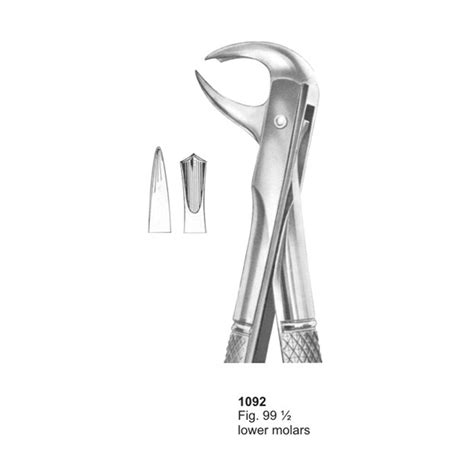 Fig 99 12 Lower Molar Dental Extraction Forcep Charisma Tech Healthcare