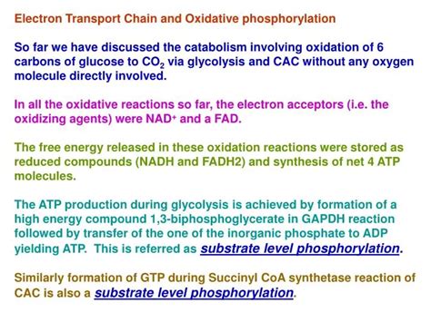 PPT - Electron Transport Chain and Oxidative phosphorylation PowerPoint ...