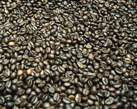 How To Influence The Flavor Profile Of Coffee During Roasting Loring