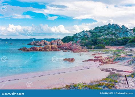 Amazing Pink Sand Beach in Budelli Island, Maddalena Archipelago ...