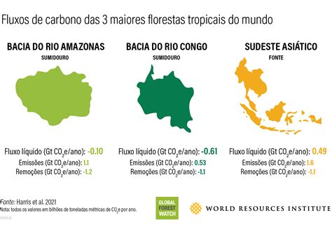 Florestas Do Mundo Sequestram Cerca De Duas Vezes Mais CO2 Do Que Emitem