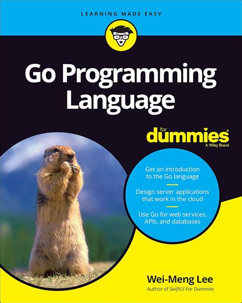 Go Programming Language For Dummies (For Dummies (Computer/Tech)): Lee ...