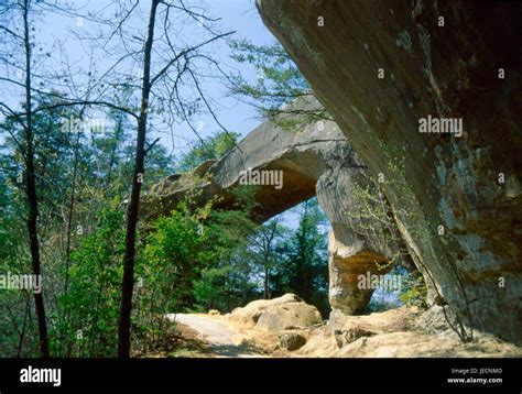 Sky Bridge Red River Gorge Area Daniel Boone National Forest