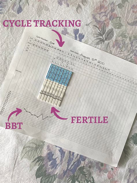 Natural Family Planning Printable Know Your Cycle & Prevent Pregnancy Without Birth Control - Etsy